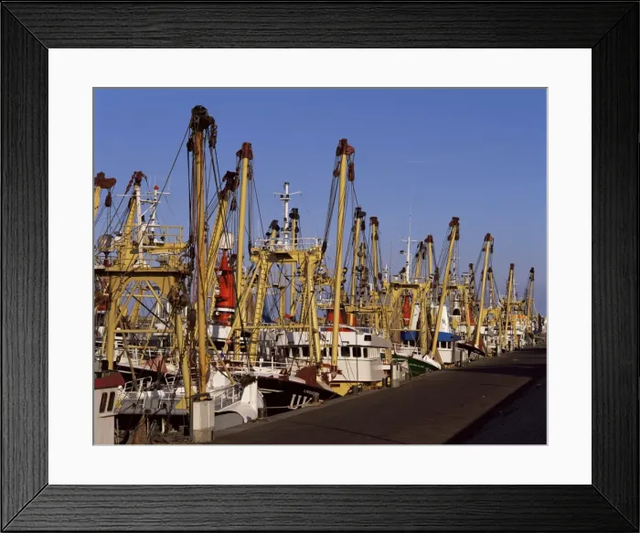 Framed Print : Fishing fleet Framed Print : Fishing fleet