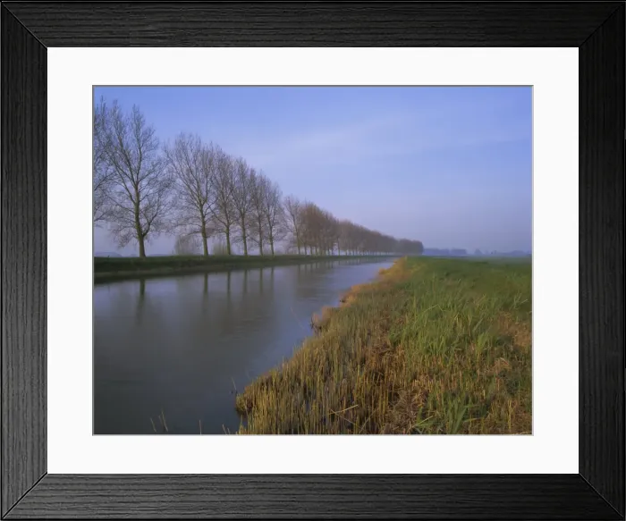 Framed Print : Tree-lined canal Framed Print : Tree-lined canal