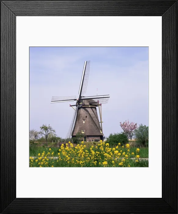 Framed Print : Windmill, Kinderdijk