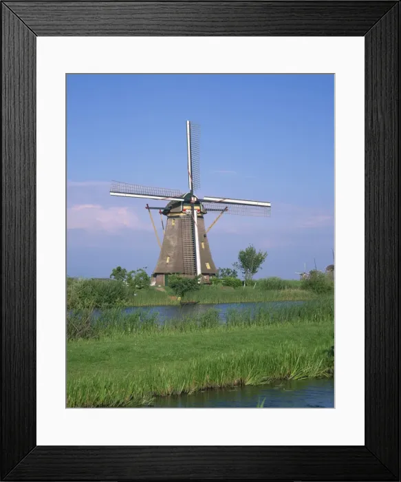 Framed Print : Thatched windmills on the canal at Kinderdijk