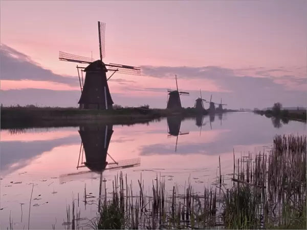 Windmills at Kinderdijk at dawn