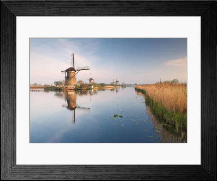 Framed Print : Windmills at Kinderdijk