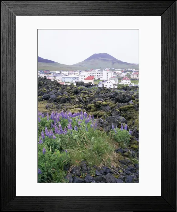 Framed Print : Lava from 1973 eruption in foreground Framed Print : Lava from 1973 eruption in foreground