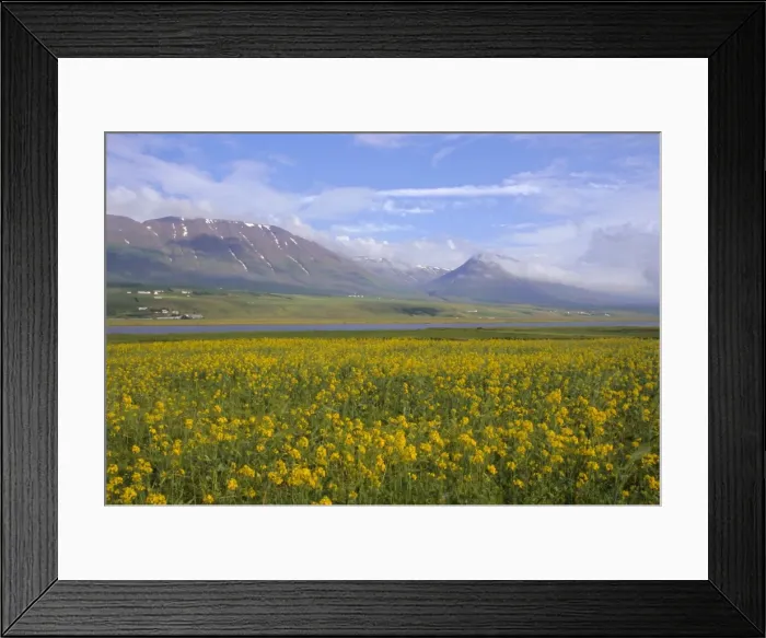 Framed Print : Eyjafjordur Framed Print : Eyjafjordur