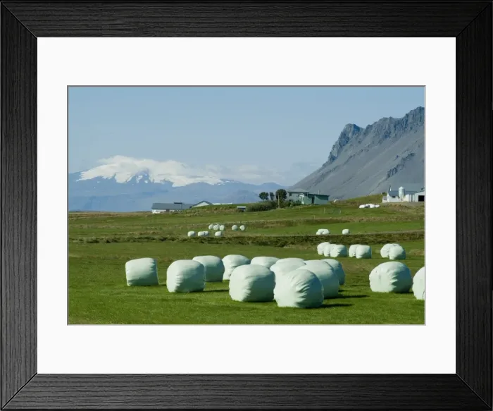 Framed Print : Farm with Snaefellsness Mountain in background Framed Print : Farm with Snaefellsness Mountain in background