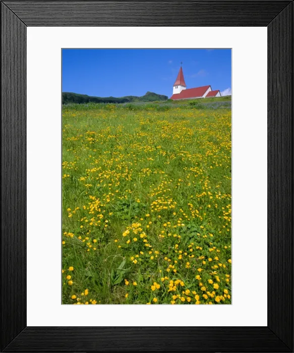 Framed Print : Church and wild flowers Framed Print : Church and wild flowers