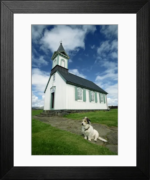 Framed Print : Small dog in front of one of Icelands best known churches Framed Print : Small dog in front of one of Icelands best known churches