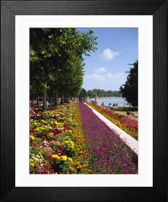 Framed Print : Summer flowers at Balatonfured on Lake Balaton Framed Print : Summer flowers at Balatonfured on Lake Balaton