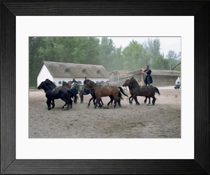Framed Print : Csikos or cowboys on horse farm in the Puszta Framed Print : Csikos or cowboys on horse farm in the Puszta