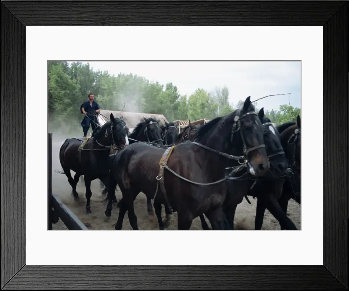 Framed Print : Csikos or cowboys on horse farm in the Puszta Framed Print : Csikos or cowboys on horse farm in the Puszta