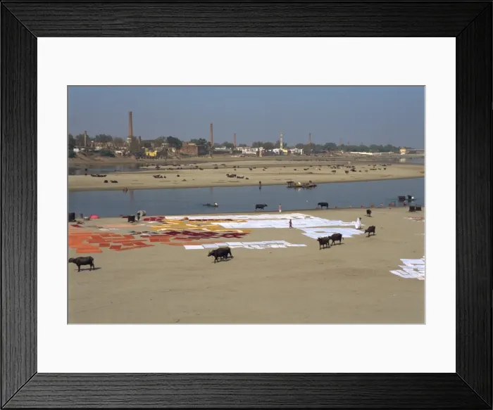 Framed Print : Dhobis washing by the Yamuna River Framed Print : Dhobis washing by the Yamuna River