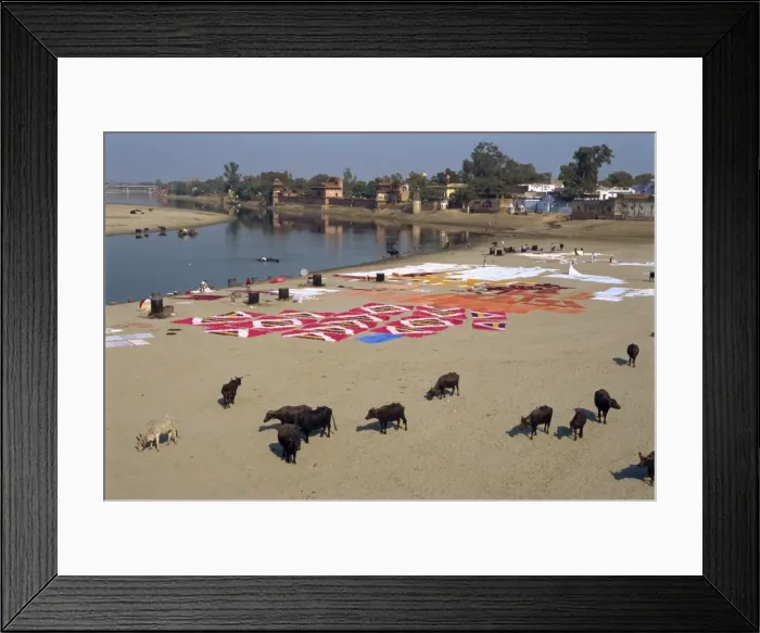 Framed Print : Dhobis washing by the Yamuna River Framed Print : Dhobis washing by the Yamuna River