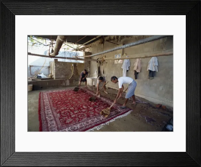 Framed Print : Washing newly made carpets to tighten pile and clean out dyes Framed Print : Washing newly made carpets to tighten pile and clean out dyes