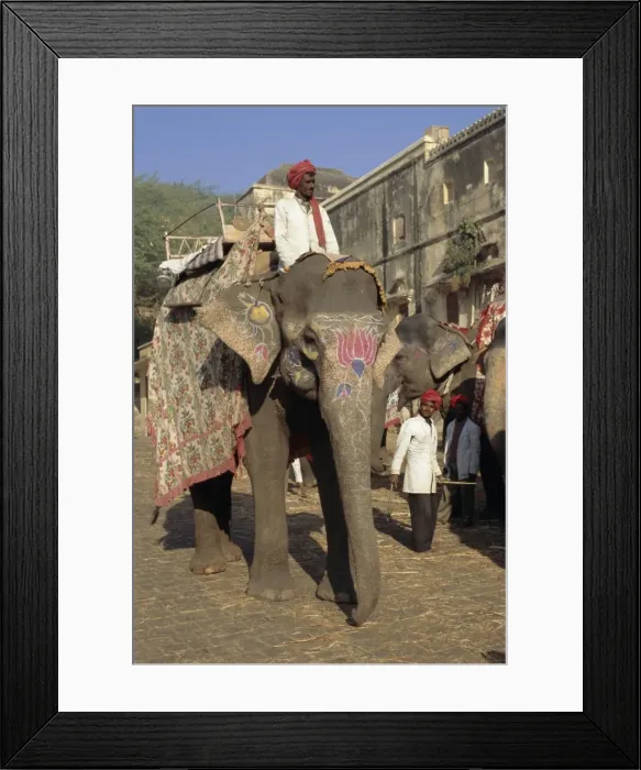Framed Print : Elephant transport for tourists Framed Print : Elephant transport for tourists