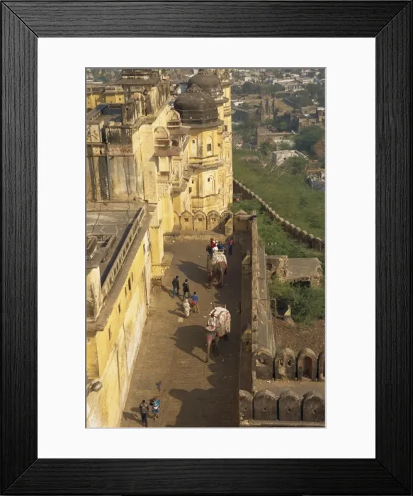 Framed Print : Elephant transport for tourists Framed Print : Elephant transport for tourists
