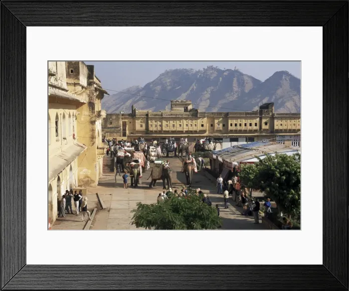 Framed Print : Elephant transport for tourists Framed Print : Elephant transport for tourists