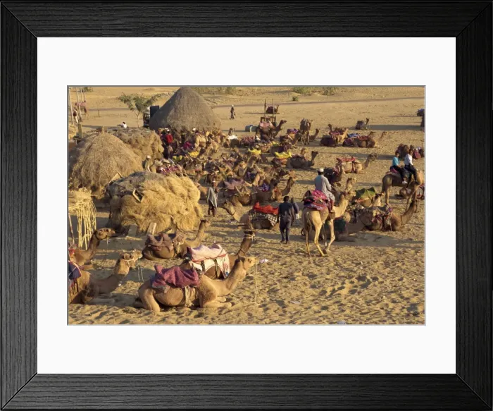 Framed Print : Sam Sand Dunes at dusk Framed Print : Sam Sand Dunes at dusk