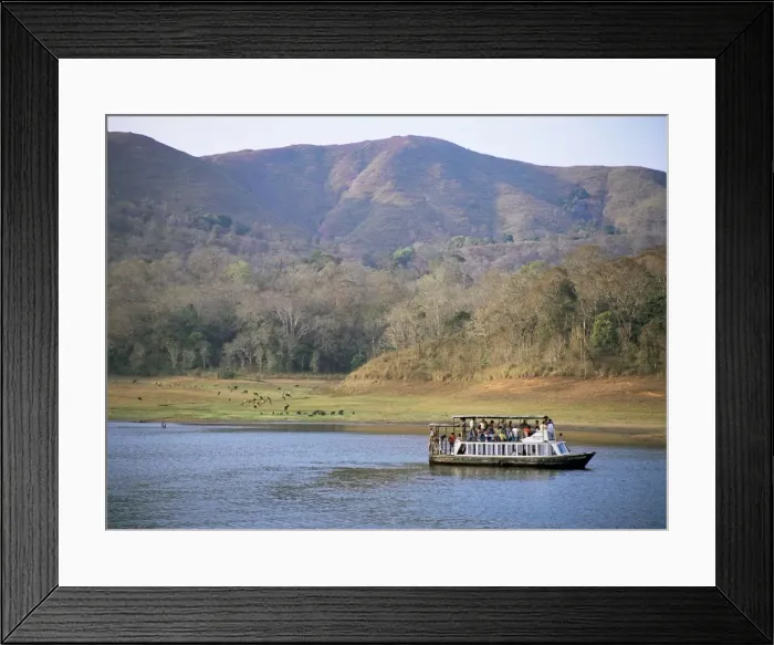Framed Print : Tourist boat viewing animals Framed Print : Tourist boat viewing animals