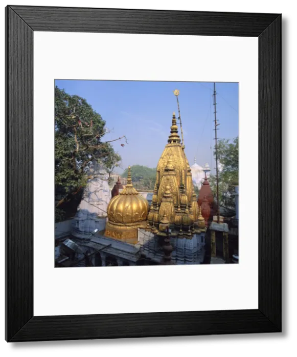 Framed Print : The Golden Temple of Vishwanath Framed Print : The Golden Temple of Vishwanath