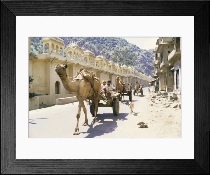 Framed Print : Street scene with camel cart Framed Print : Street scene with camel cart