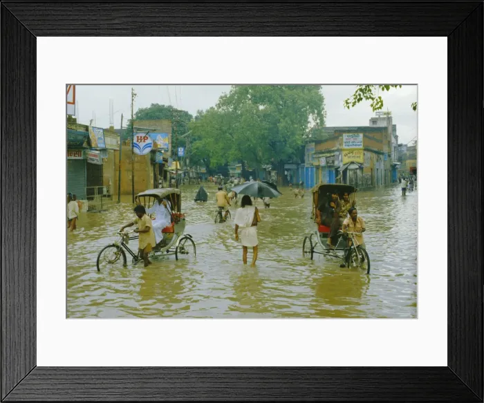 Framed Print : Rickshaws being pushed through the monsoon floods in a town Framed Print : Rickshaws being pushed through the monsoon floods in a town