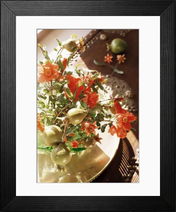 Framed Print : Pomegranate flower and fruit arrangement on a coffee table Framed Print : Pomegranate flower and fruit arrangement on a coffee table