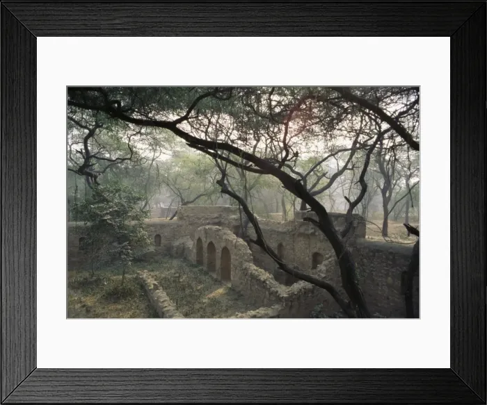 Framed Print : The Mehrauli Archaeological Park Framed Print : The Mehrauli Archaeological Park