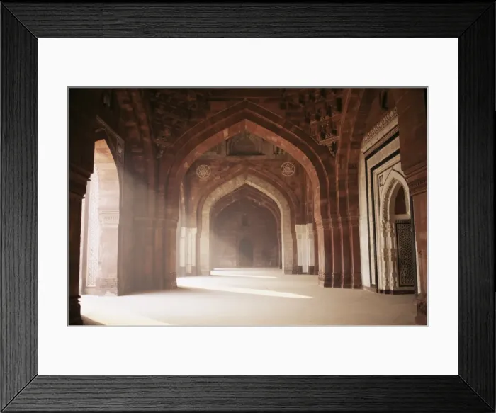 Framed Print : The Purana Quila Framed Print : The Purana Quila