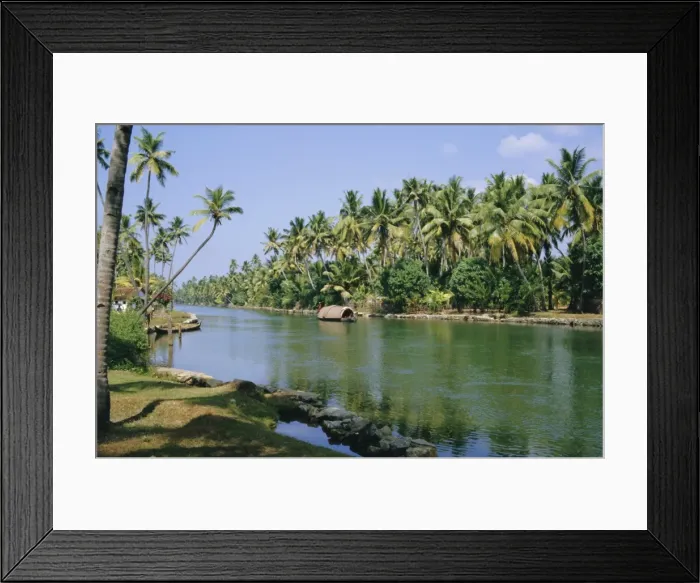 Framed Print : The backwaters at Chavara
