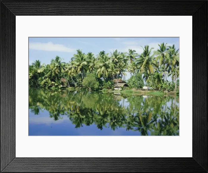 Framed Print : The backwaters near Kumarakom Framed Print : The backwaters near Kumarakom