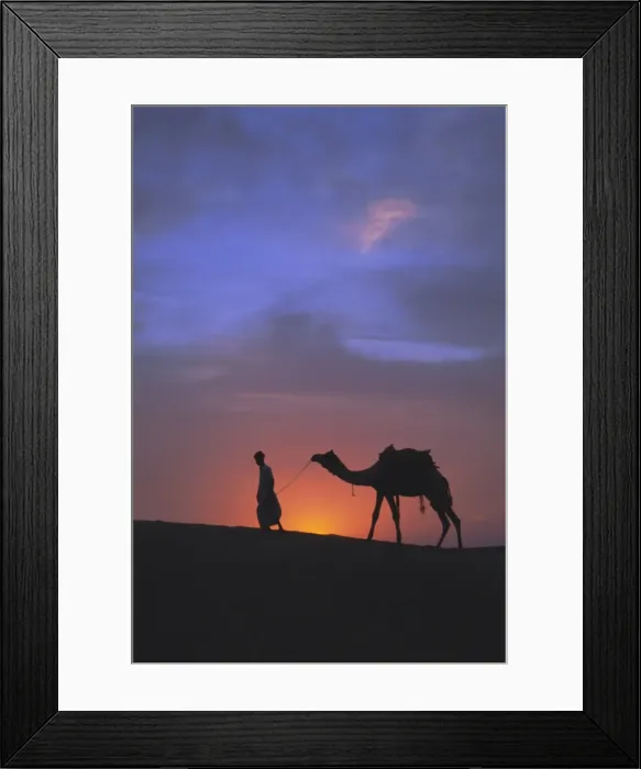 Framed Print : Camel silhouetted against the sunset Framed Print : Camel silhouetted against the sunset