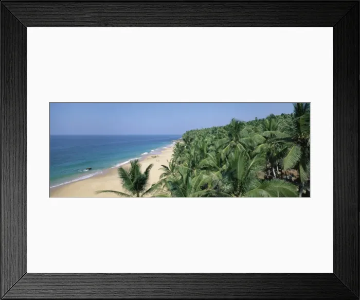 Framed Print : Coconut palms and beach Framed Print : Coconut palms and beach