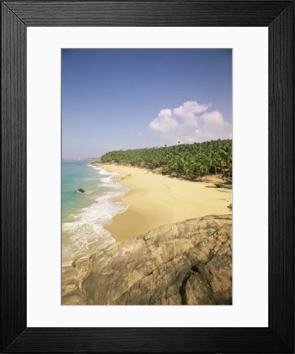 Framed Print : Beach and coconut palms Framed Print : Beach and coconut palms