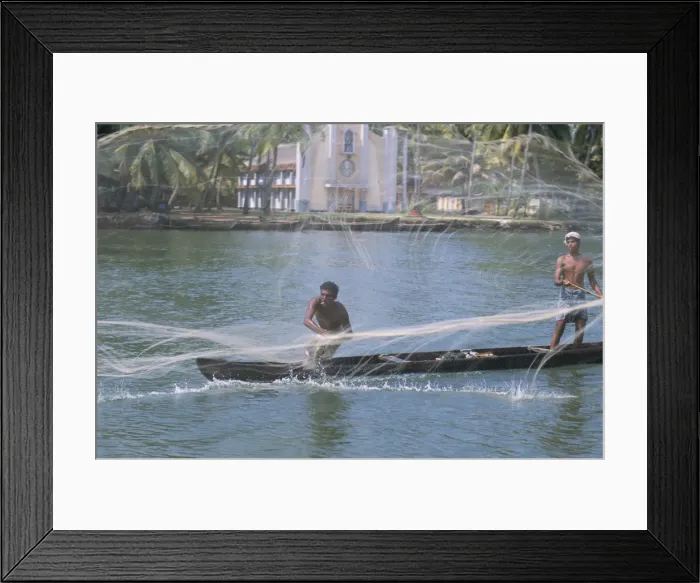 Framed Print : Fisherman casting his throw net in the coastal backwaters Framed Print : Fisherman casting his throw net in the coastal backwaters
