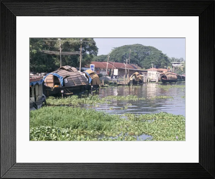 Framed Print : Rice boats on the backwaters Framed Print : Rice boats on the backwaters