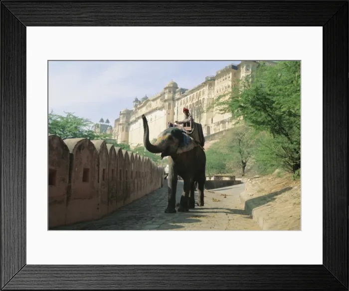 Framed Print : Elephant at the Amber Palace Framed Print : Elephant at the Amber Palace
