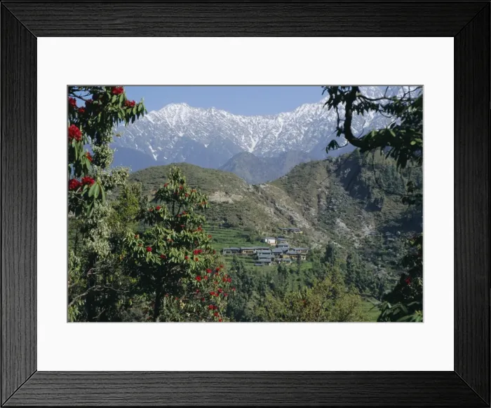 Framed Print : Gaddi village Framed Print : Gaddi village