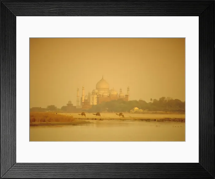 Framed Print : The Taj Mahal Framed Print : The Taj Mahal