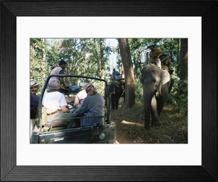 Framed Print : Tourists tiger spotting Framed Print : Tourists tiger spotting