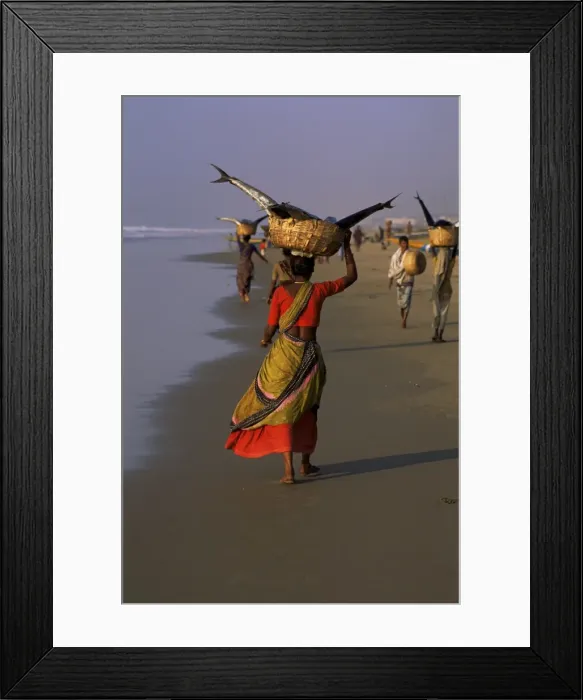 Framed Print : Women carrying fish catch to the market of fishing village Framed Print : Women carrying fish catch to the market of fishing village