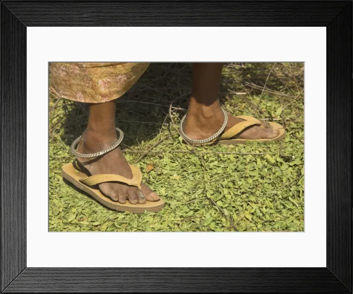 Framed Print : Close up of female farmers feet standing on henna leaves Framed Print : Close up of female farmers feet standing on henna leaves