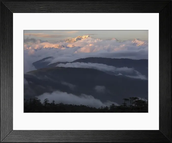 Framed Print : Sunset on snowy Kangchendzonga with tree covered hills in foreground Framed Print : Sunset on snowy Kangchendzonga with tree covered hills in foreground