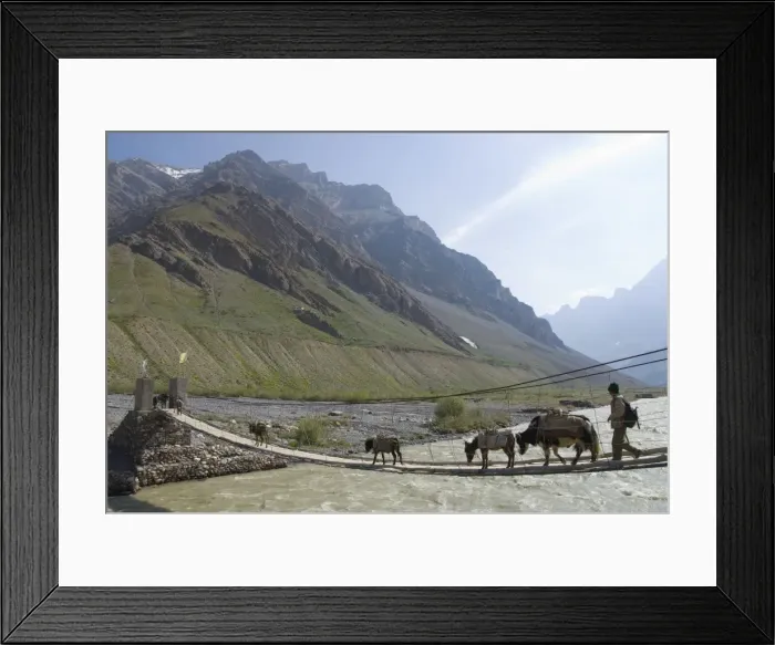 Framed Print : Donkeys, yak and man walking across a wooden suspended Framed Print : Donkeys, yak and man walking across a wooden suspended