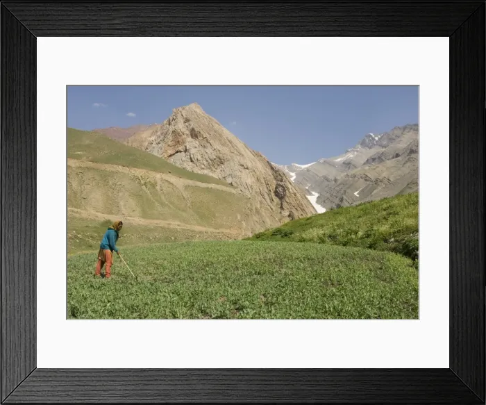 Framed Print : Local woman tending her fields Framed Print : Local woman tending her fields