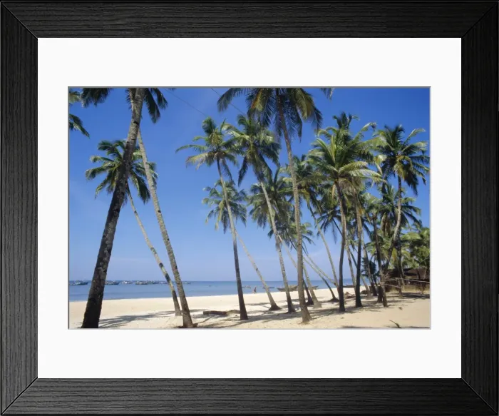 Framed Print : Palm fringed beach Framed Print : Palm fringed beach