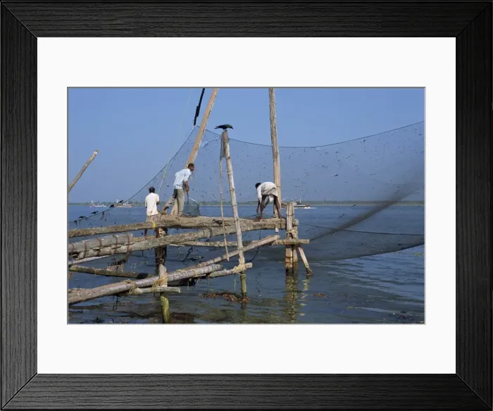 Framed Print : Man operating large Chinese fishing nets at Fort Cochin Framed Print : Man operating large Chinese fishing nets at Fort Cochin