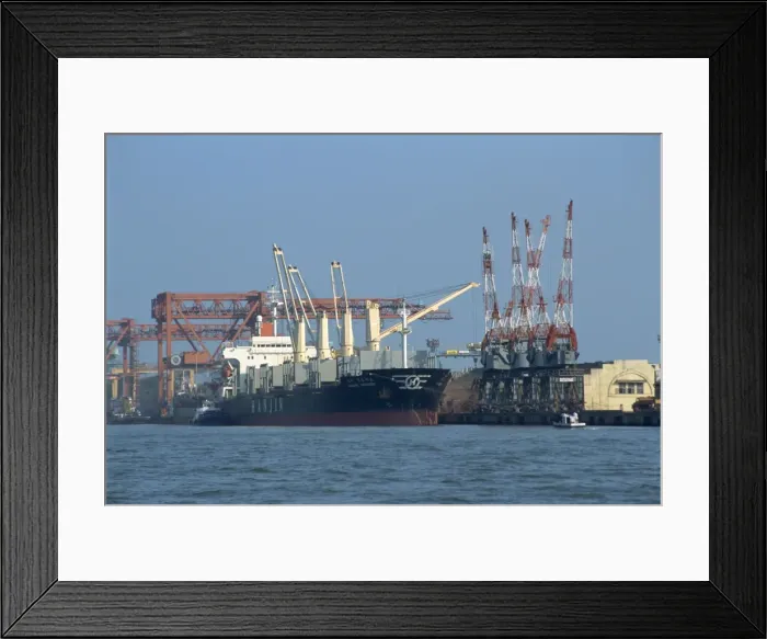 Framed Print : Cochin harbour Framed Print : Cochin harbour