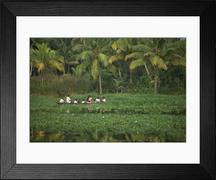 Framed Print : Landscape of a typical backwater Framed Print : Landscape of a typical backwater