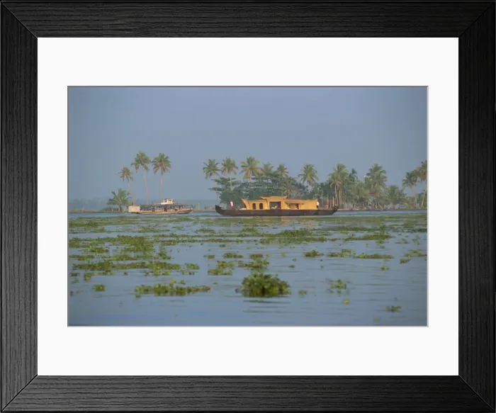 Framed Print : Houseboats used for tourists Framed Print : Houseboats used for tourists