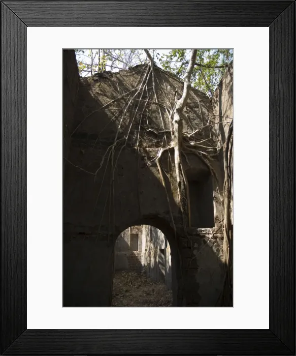 Framed Print : Ruined fort near Goa Framed Print : Ruined fort near Goa